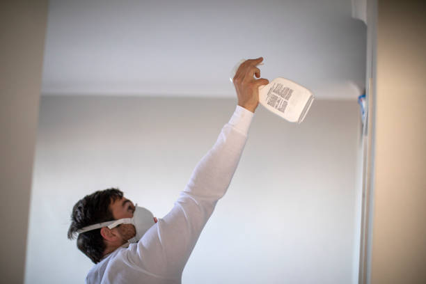 Best Best Mold Removal Companies  in Emmitsburg, MD