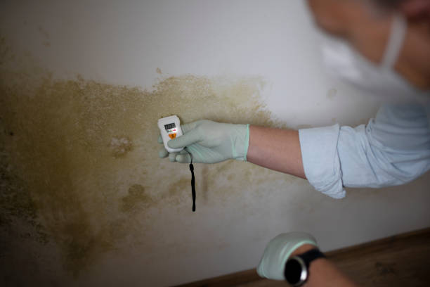 Best Mold Testing  in Emmitsburg, MD