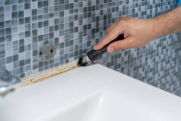 Best Mold Removal Near Me  in Emmitsburg, MD
