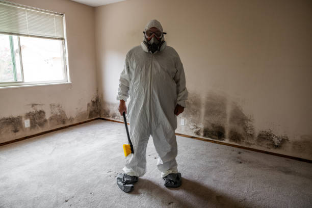 Crawl Space Mold Removal in Emmitsburg, MD