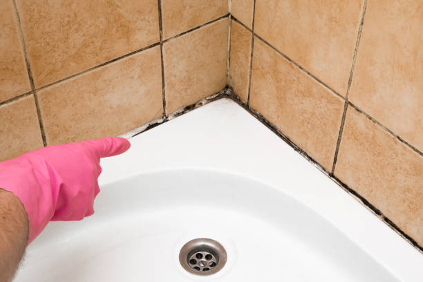 Best Crawl Space Mold Removal  in Emmitsburg, MD